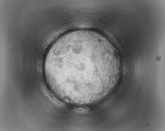 X0000114540447200911091137