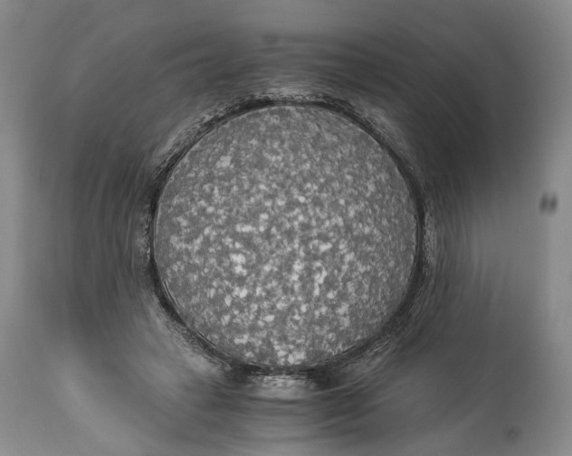 X0000114540449200911091137