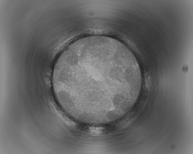 X0000114540450200911091137