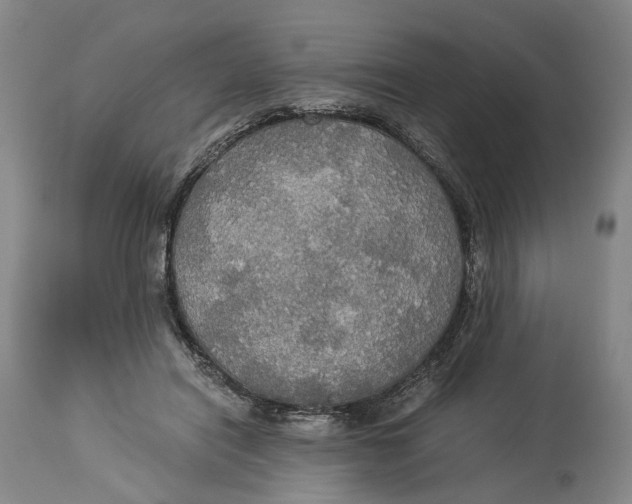 X0000114540454200911091137