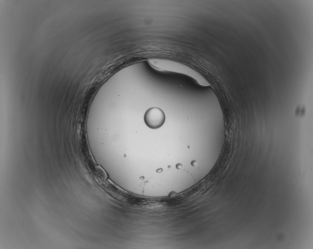 X0000114540456200911091137