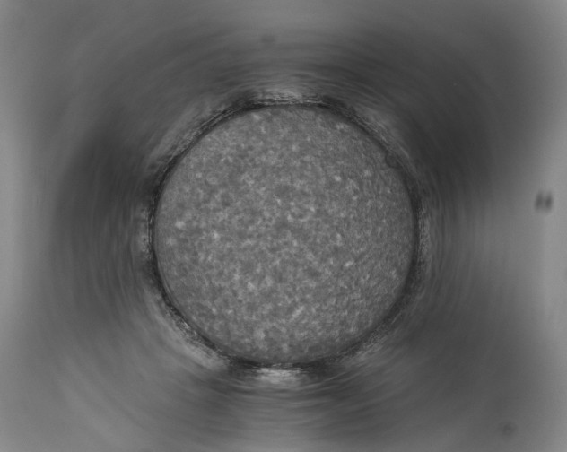 X0000114540457200911091137