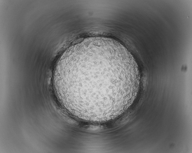 X0000114540458200911091137