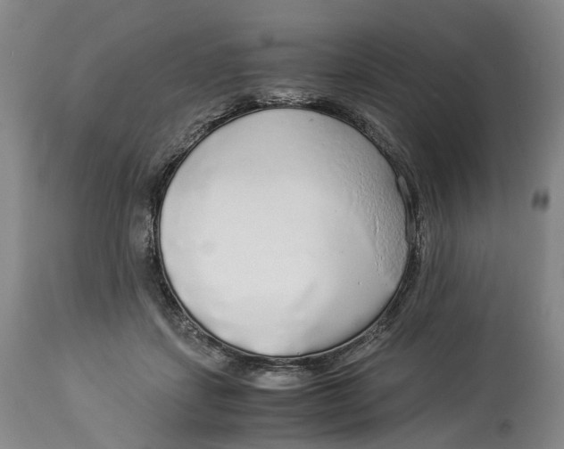 X0000114540459200911091137