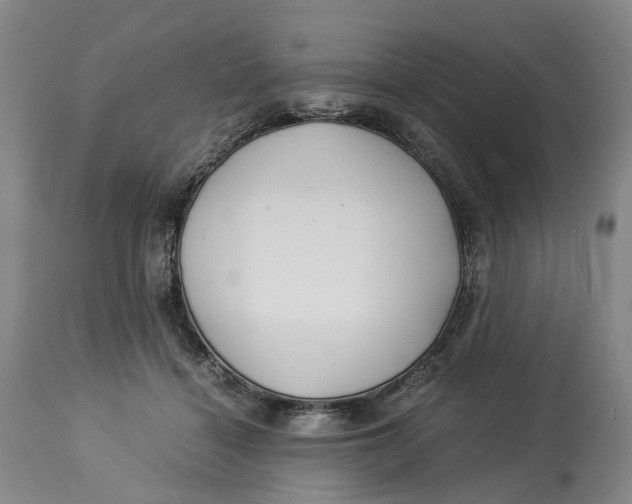 X0000114540460200911091137