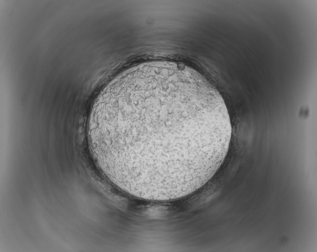 X0000114540462200911091137