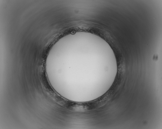 X0000114540464200911091137