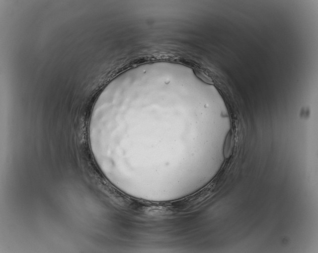 X0000114540465200911091137