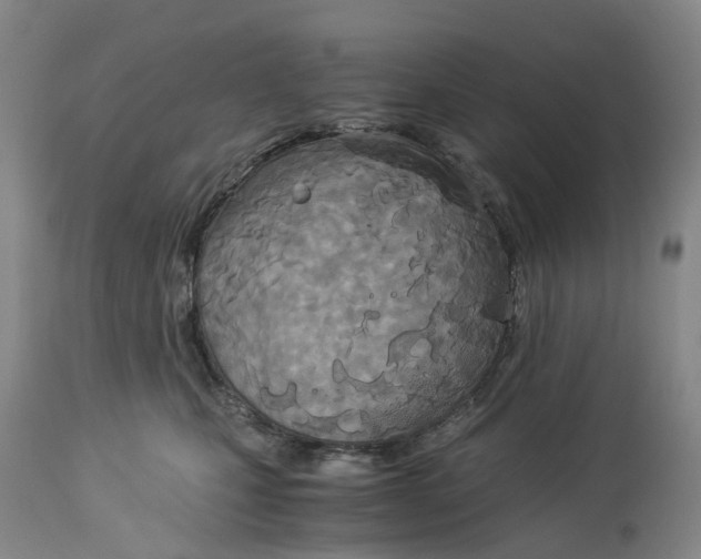 X0000114540471200911091137