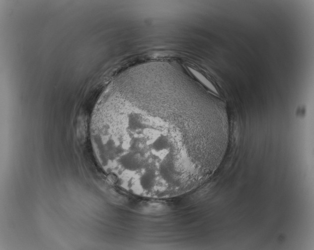 X0000114540475200911091137