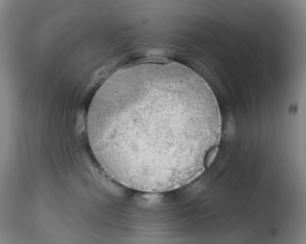 X0000114540478200911091137