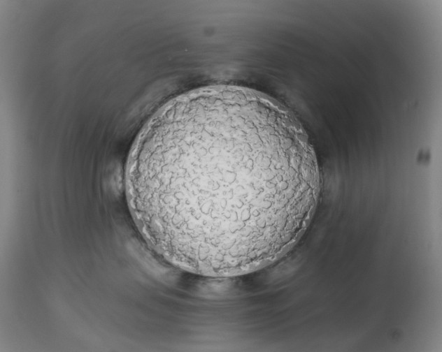 X0000114540479200911091137