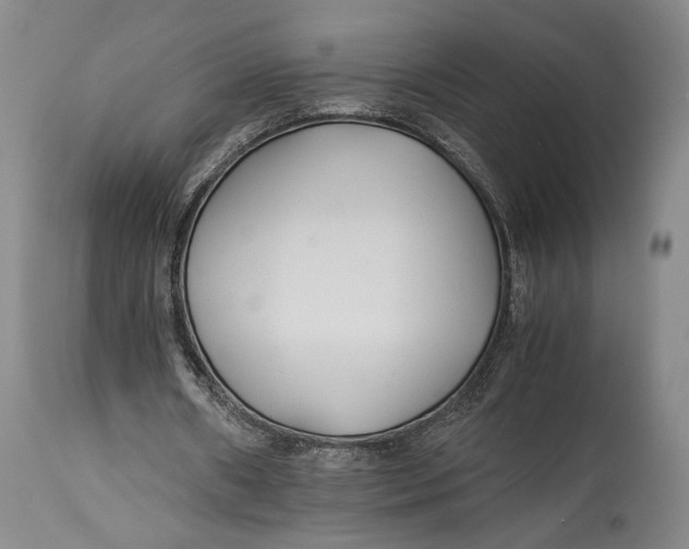 X0000114540482200911091137