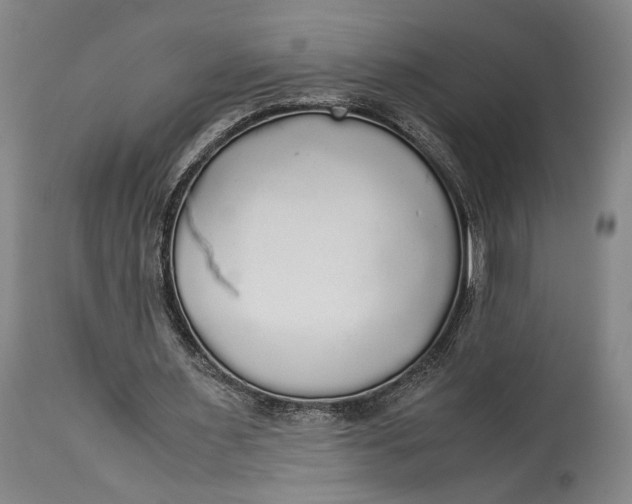 X0000114540483200911091136