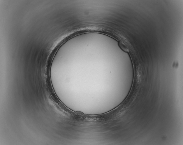 X0000114540484200911091136