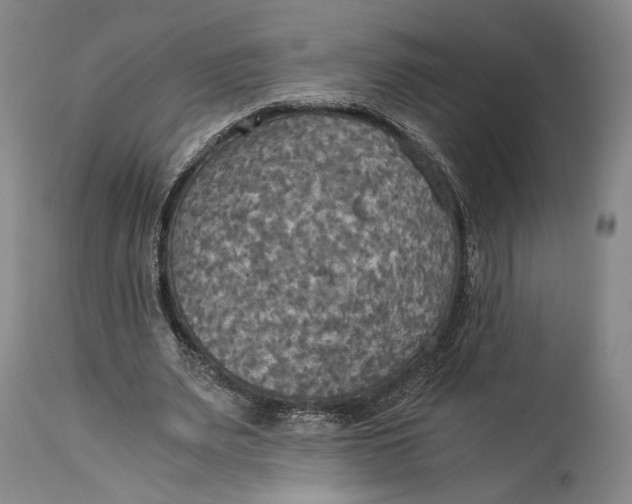 X0000114540487200911091136