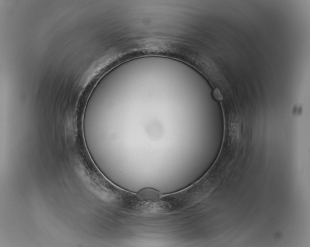 X0000114540488200911091136