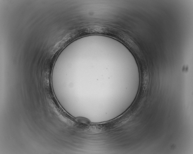 X0000114540489200911091136