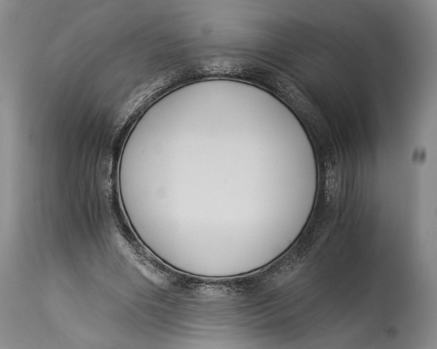 X0000114540490200911091136