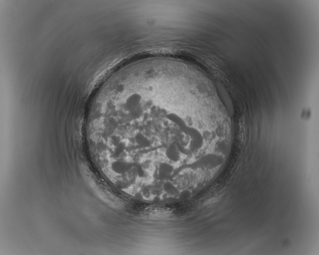 X0000114540491200911091136