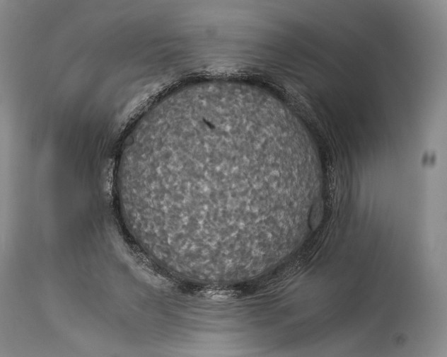 X0000114540495200911091136