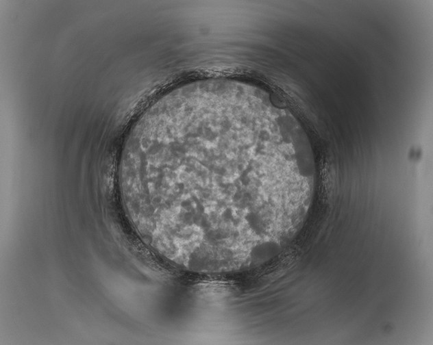 X0000114540499200911091136