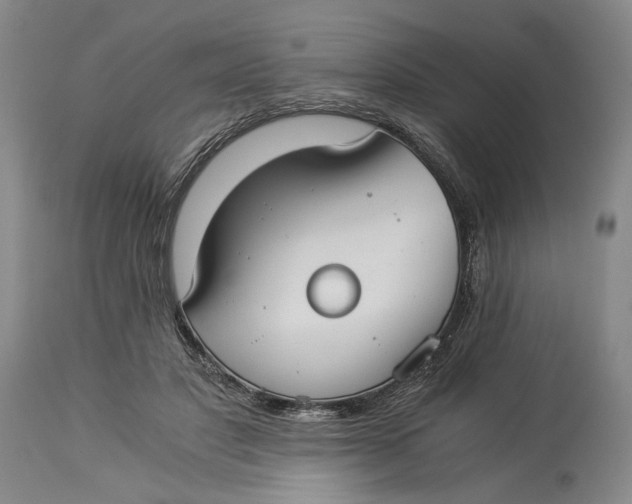 X0000114540501200911091136