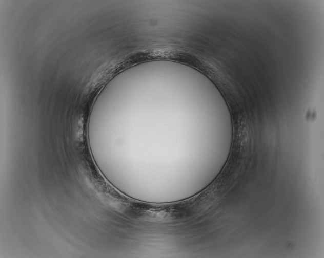 X0000114540502200911091136