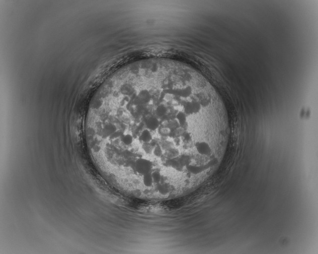 X0000114540503200911091136