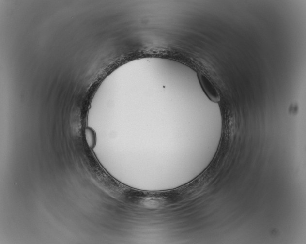 X0000114540508200911091136