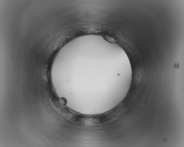 X0000114540512200911091136