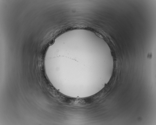 X0000114540517200911091136