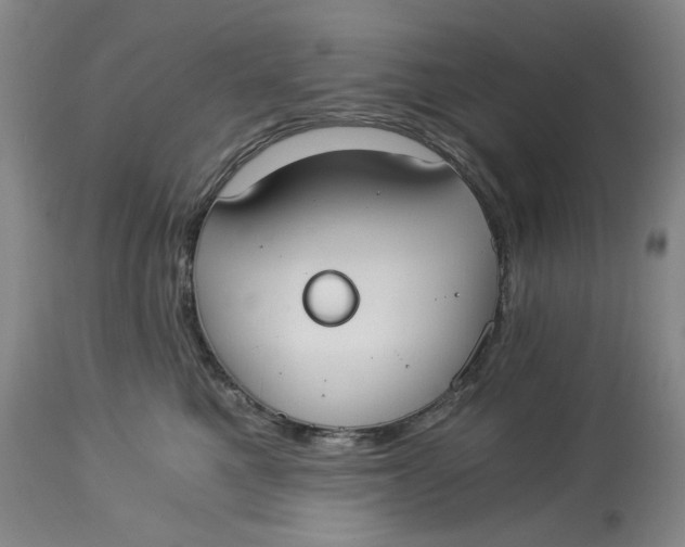 X0000114540521200911091136