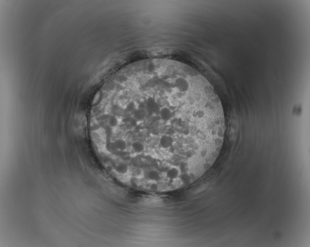 X0000114540523200911091136