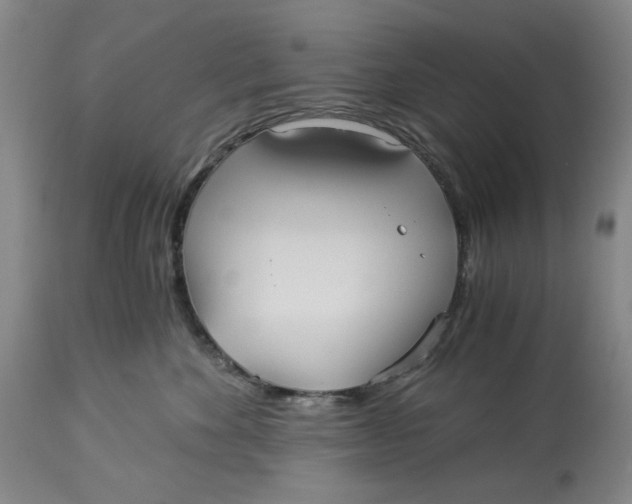 X0000114540524200911091136