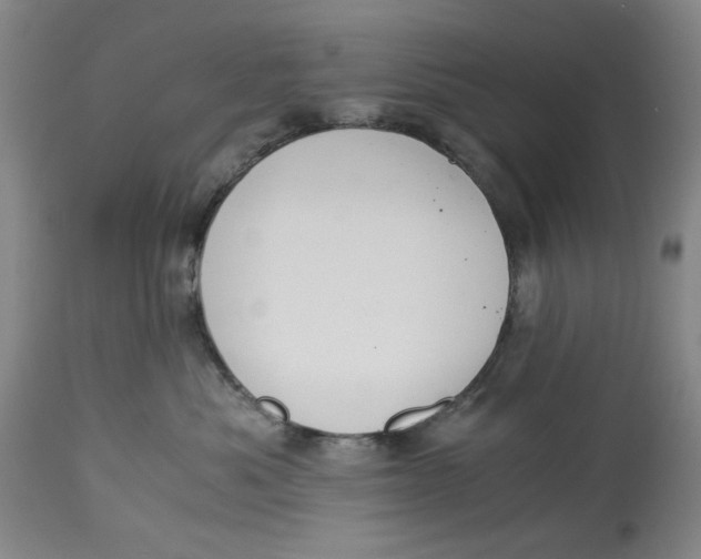 X0000114540525200911091136