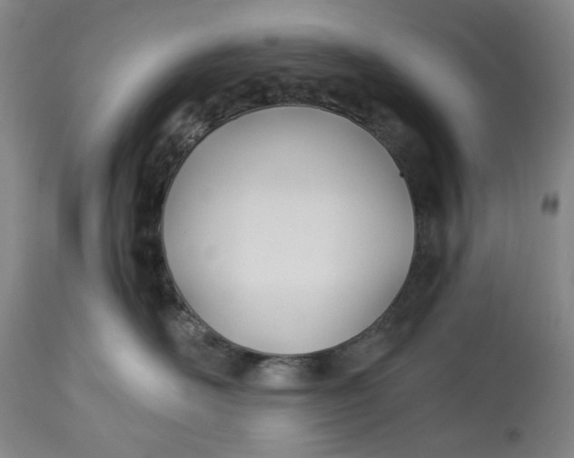 X0000114540526200911091136