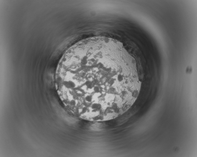 X0000114540527200911091136