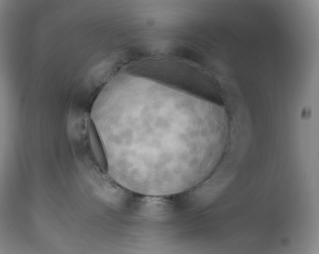 X0000114540528200911091136