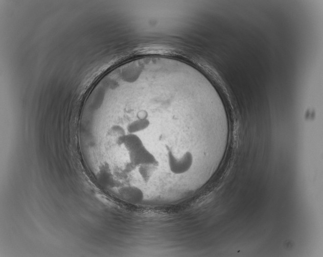 X0000114540529200911091135