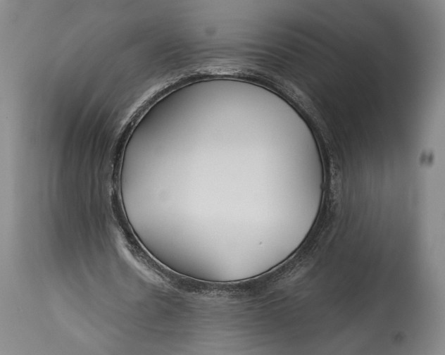 X0000114540530200911091135