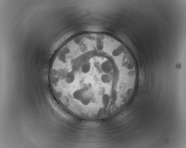 X0000114540533200911091135