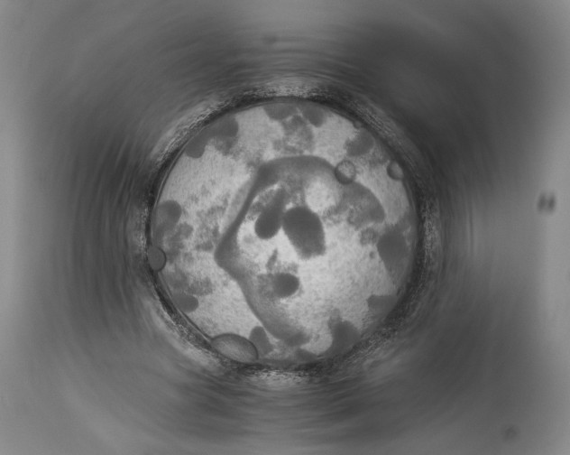 X0000114540537200911091135