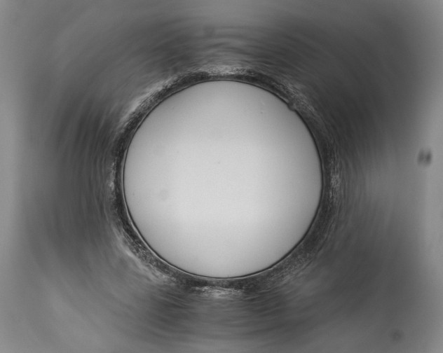 X0000114540539200911091135