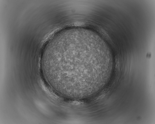 X0000114540542200911091135