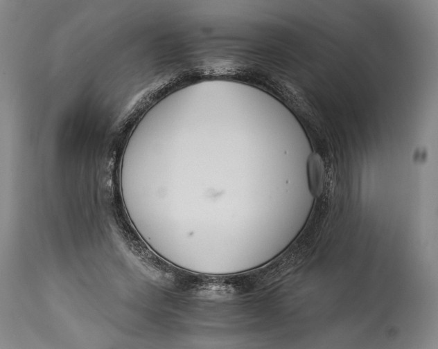 X0000114540543200911091135