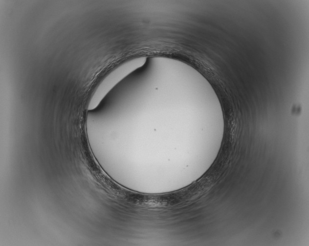 X0000114540546200911091135