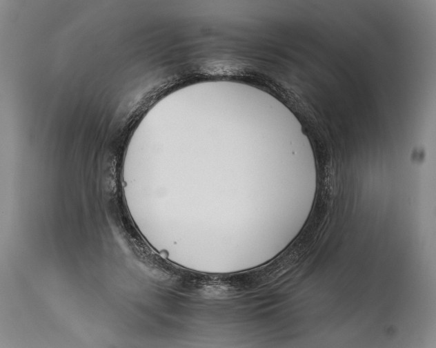 X0000114540547200911091135