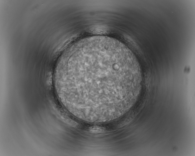 X0000114540549200911091135