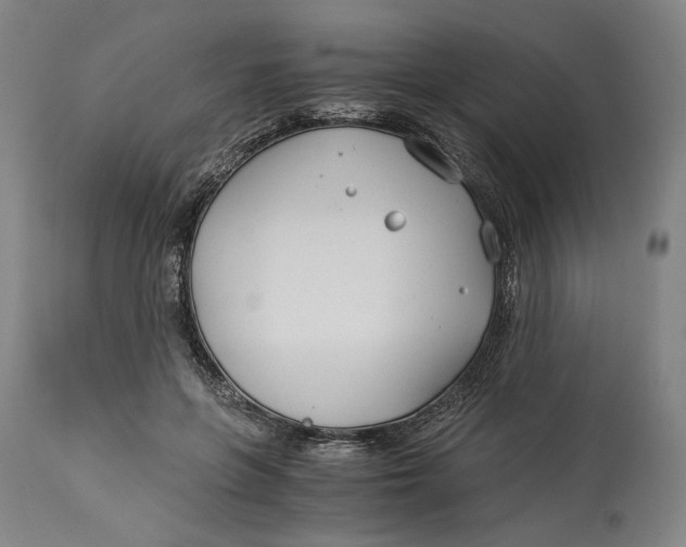 X0000114540551200911091135